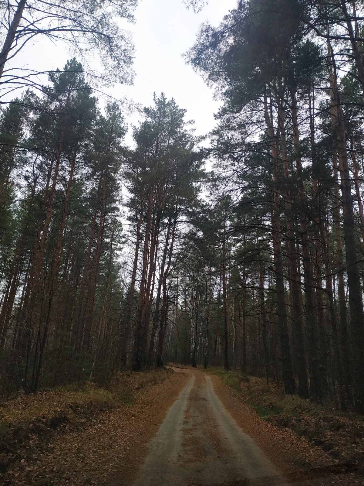дорога